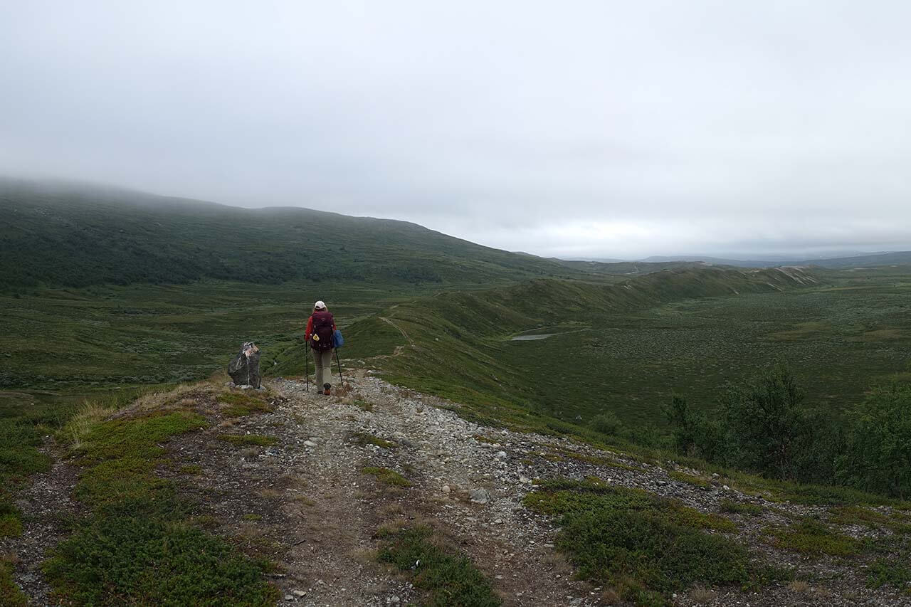 Polku Gappohyttalta Pältsastuganille kulkee kilometrikaupalla korkean harjun lakea. Kuva: Jouni Laaksonen.