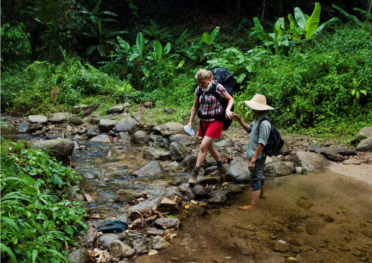 Banaanit tertussa, luonnon omassa valintamyymälässä