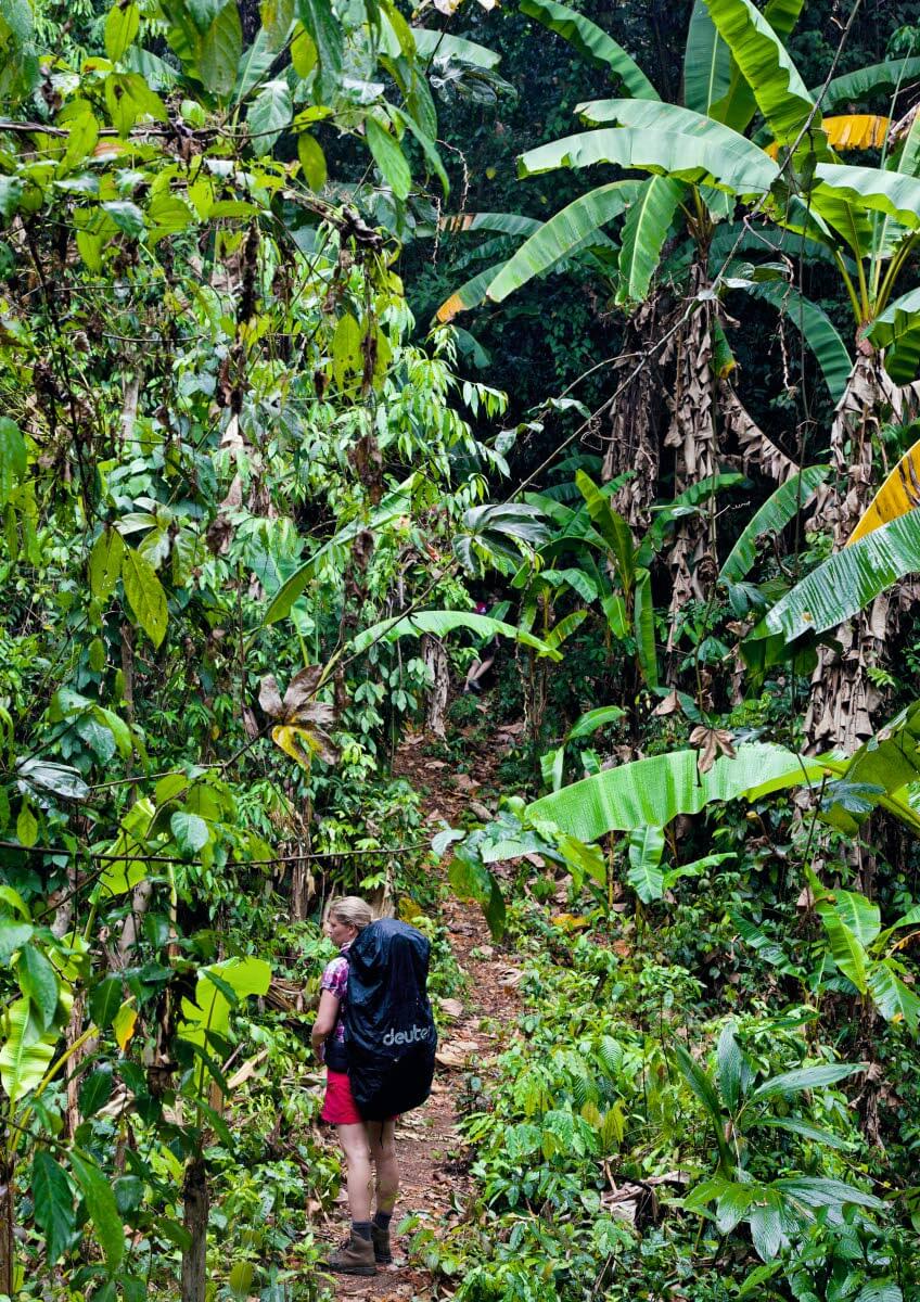Kuuma päivä viidakossa, mutta vesileikit viilentävät kylän lapsia