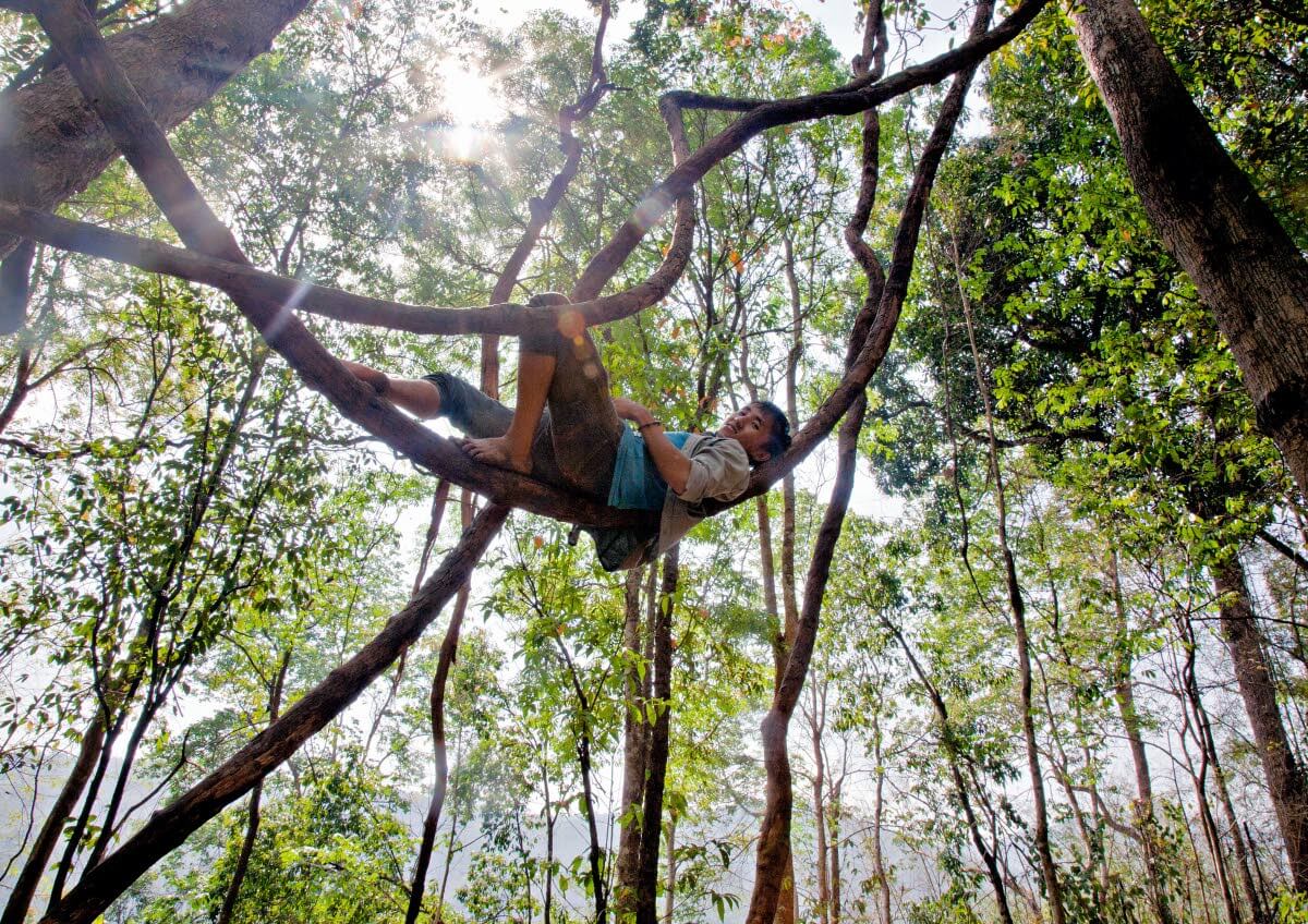 Vuoristoisella alueella palot voivat levitä rajusti ja arvaamattomasti ylös vuorten rinteitä pitkin