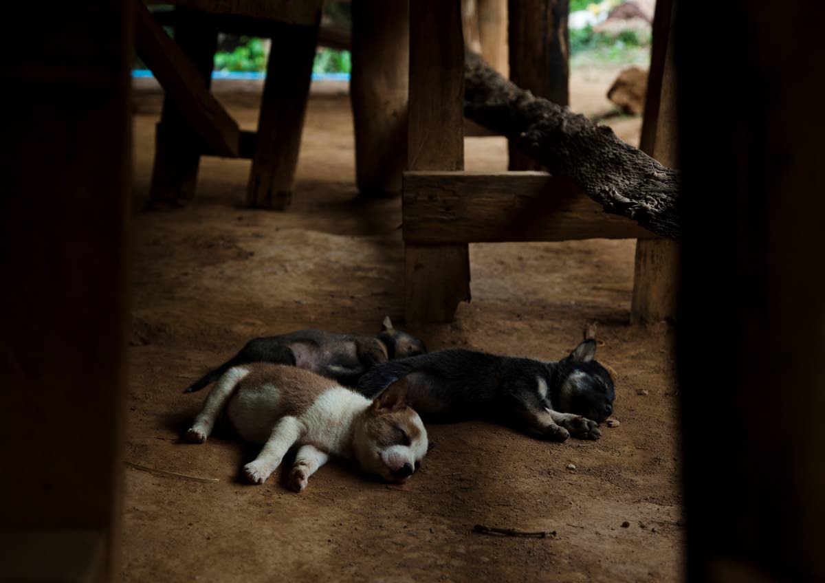 Retkiruoka valmistuu majan 