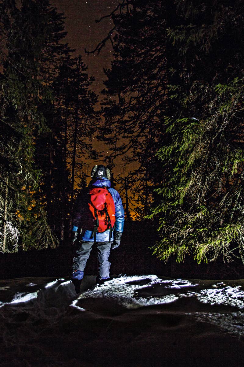 Pöllöretkellä Multiharjun ikimetsässä Seitsemisen kansallispuistossa