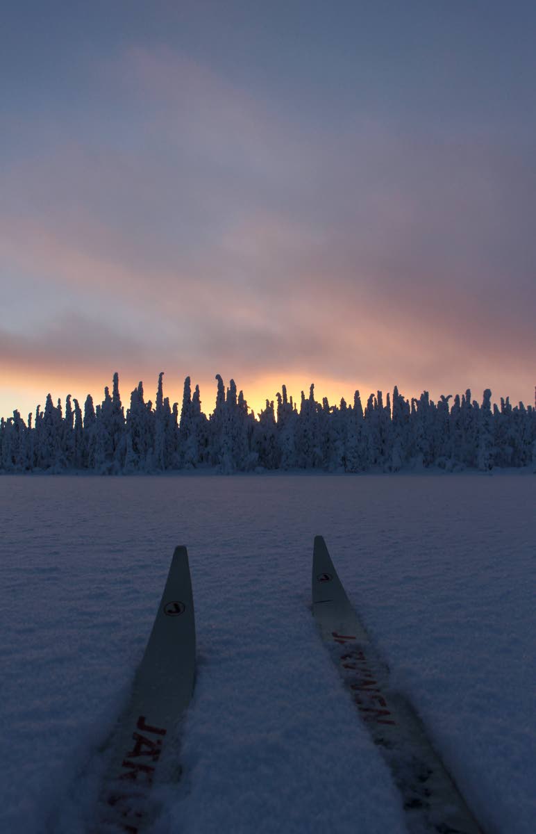 Tästä on kyse. Ilman suksia (tai lumikenkiä) ei Pohjois-Suomen talvessa voi liikkua. Kun astuu pois suksilta, uppoaa lantioon asti. Kuva on Posiolta maaliskuun oloista