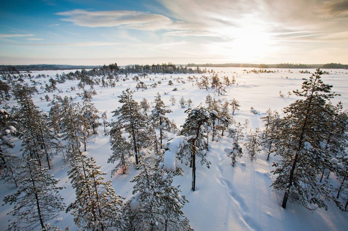 Valkmusan kansallispuisto tammikuussa