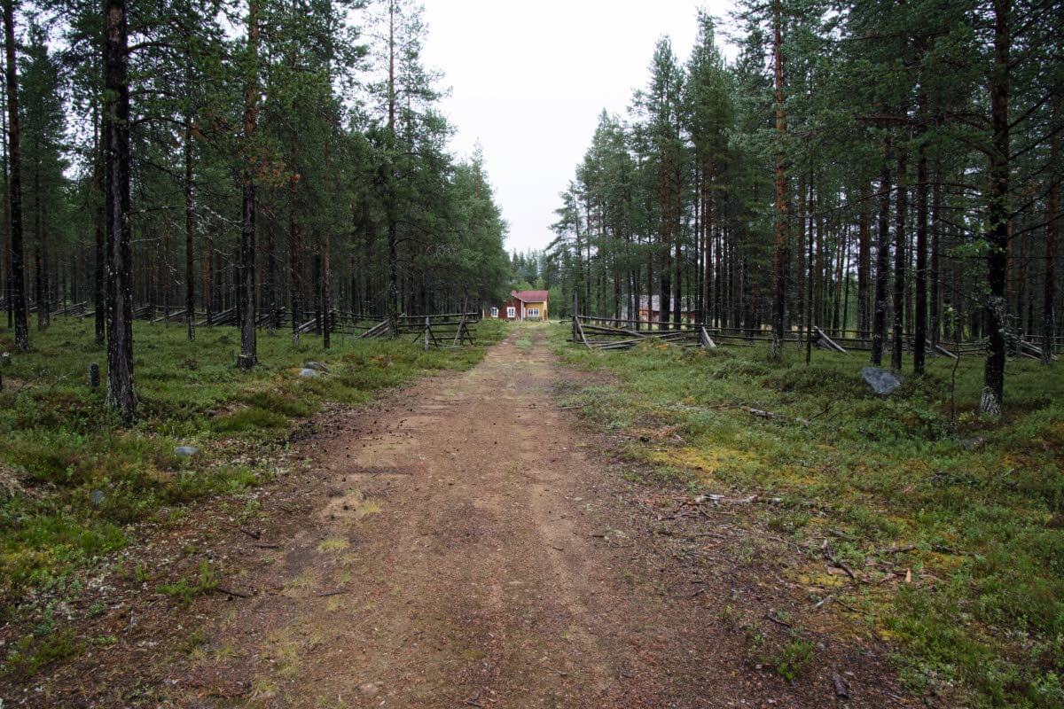 Vilkas kulkureitti kulki halki Moskun pihapiirin ennen Lokan tekoaltaan rakentamista. Kuva: Raija Hentman.