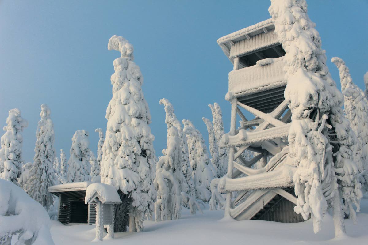 Lakikummun laavu ja näkötorni ovat syrjässä latuverkostosta, joten oma rauha on taattu. Kuva: Jouni Laaksonen.