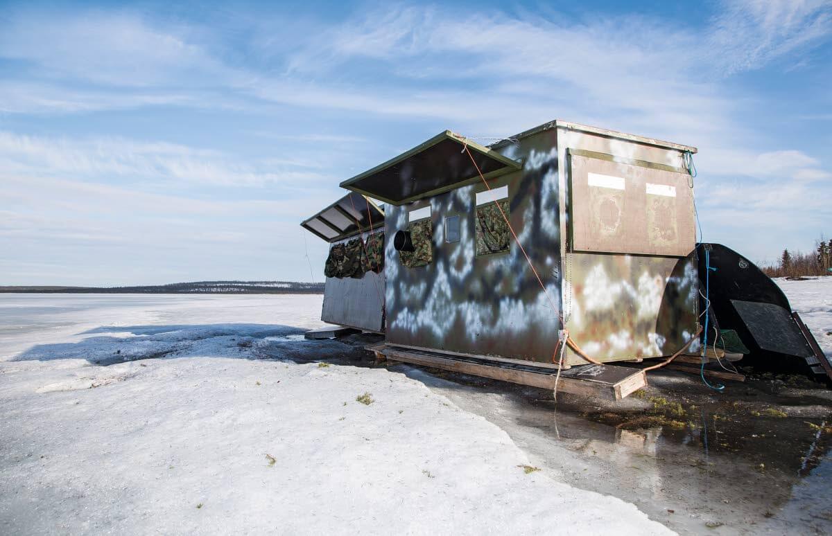 Merikotkia kuvataan kuvauskojusta.