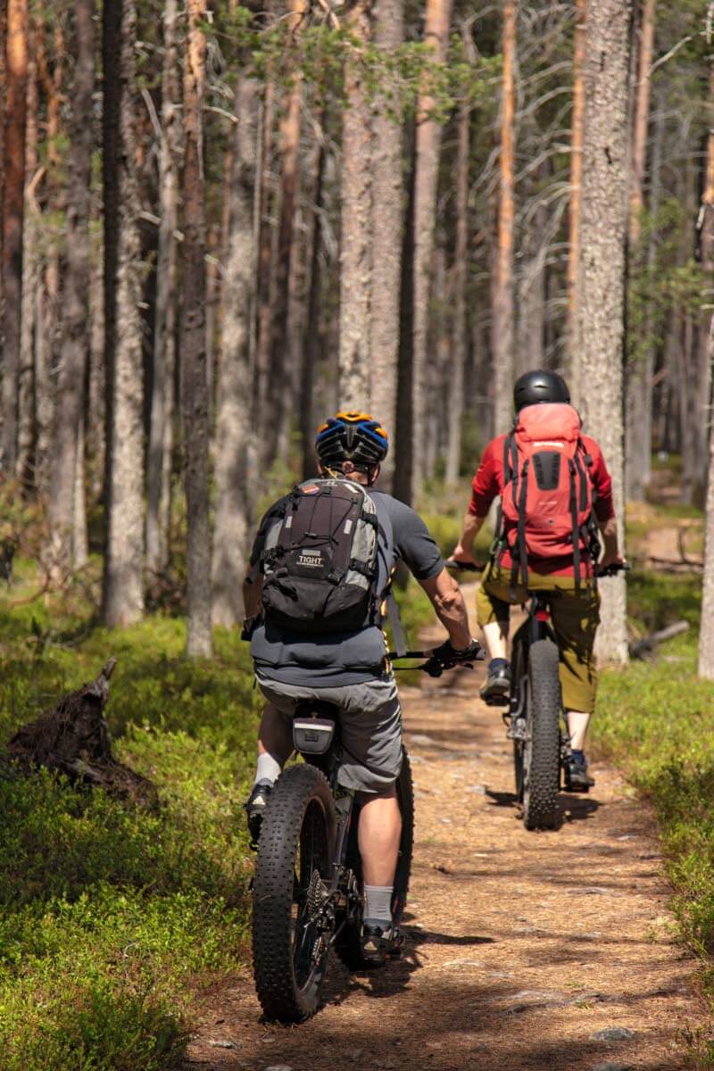 Hiekkapohjaiset neulaspolut ovat kuivia ja helppokulkuisia. Kuva: Tapani Leppänen.