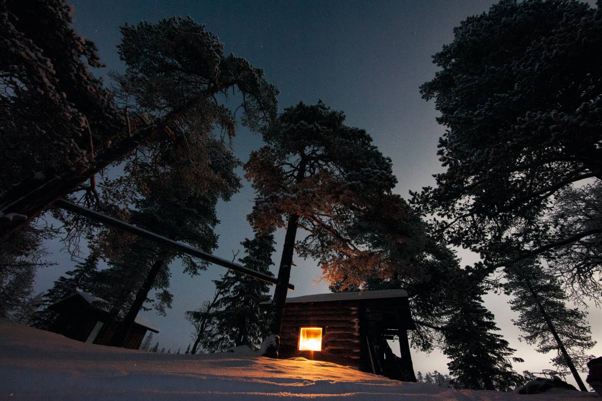 Kireässä pakkasessa ja kuutamolla on puolen hehtaarin metsässä hyvää aikaa ajatella ja syödä hunajaa