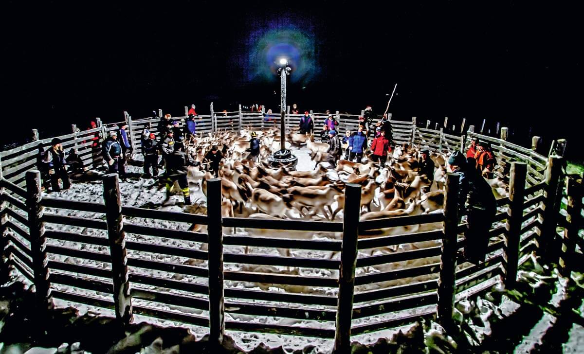 Kauppatokkaa ratkotaan Raittijärven talvierotusaidan kirnussa (2007)