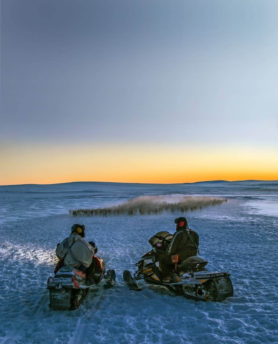 Per Ailu Gaup-Juuso ja Per-Oula Juuso tuovat kauppatokkaa talvikaarteeseen. Tšohkkaporri, Raittijärvi (2007)