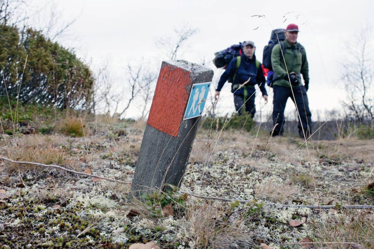 Kevon vaellusreitin alkutaival kulkee kuivilla tievoilla. Reitti on merkitty oranssein maalimerkein puihin ja lyhyihin puupaalunatsoihin