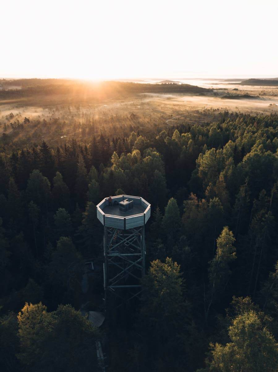 Kiljamon lintutornilta näkee koko suon upeat maisemat. Siellä tuntee helposti olevansa kaukana erämaassa, jos vain sulkee korvat autojen kaukaiselta huminalta. Kuva: Eeva Mäkinen.