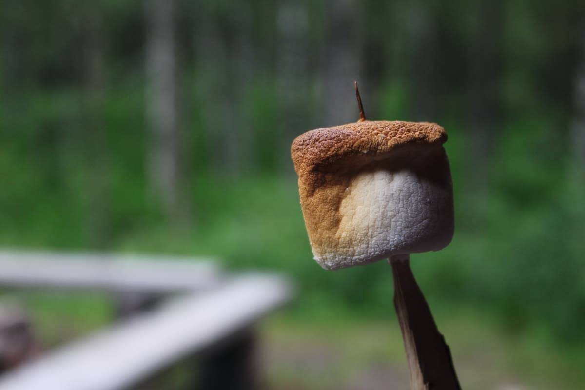 Nuotion loimussa kevyesti paahdettu vaahtokarkki on herkkua! Kuva: Jouni Laaksonen.