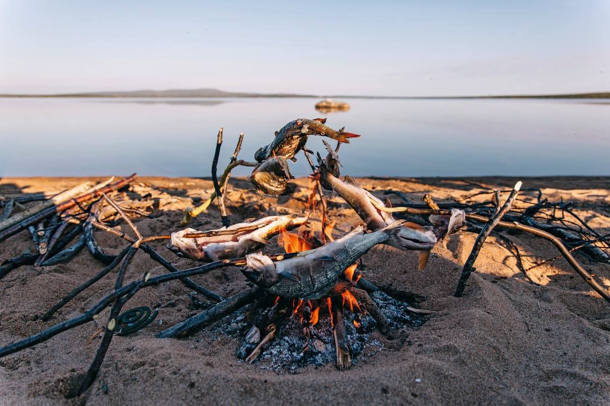 Saalis valmistuu. Kuva: Marinella Himari.