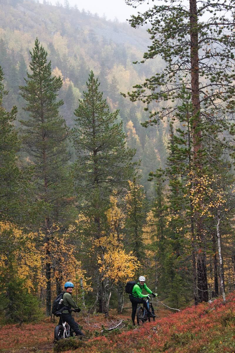 Lainio- ja Pyhätunturin välisessä kururotkossa maisema on paikoin erämainen ja polku ihmisen kokoinen