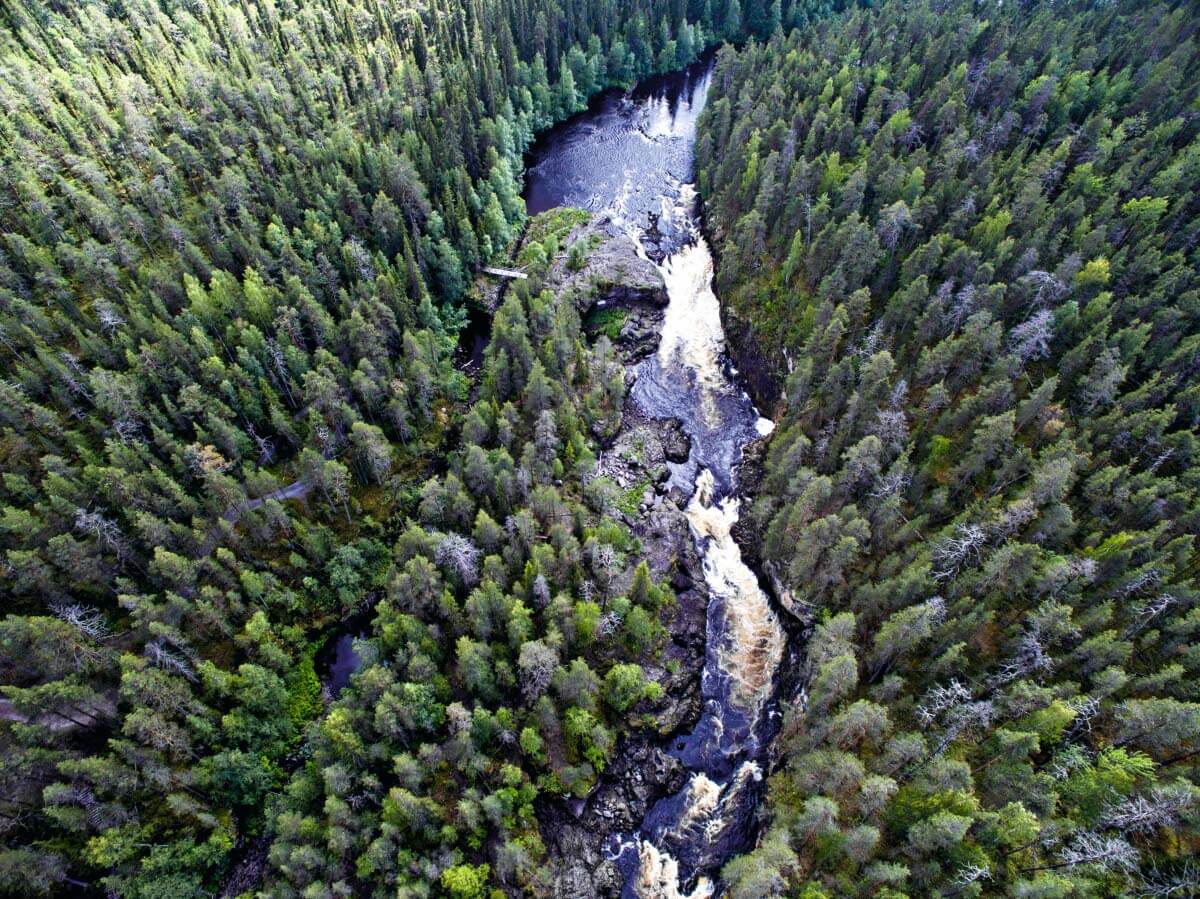 Oulangan kansallispuiston tunnetuin nähtävyys, Oulankajoen Kiutaköngäs, ilmasta käsin nähtynä. Joki virtaa Paanajärven kansallispuistoon, Venäjälle