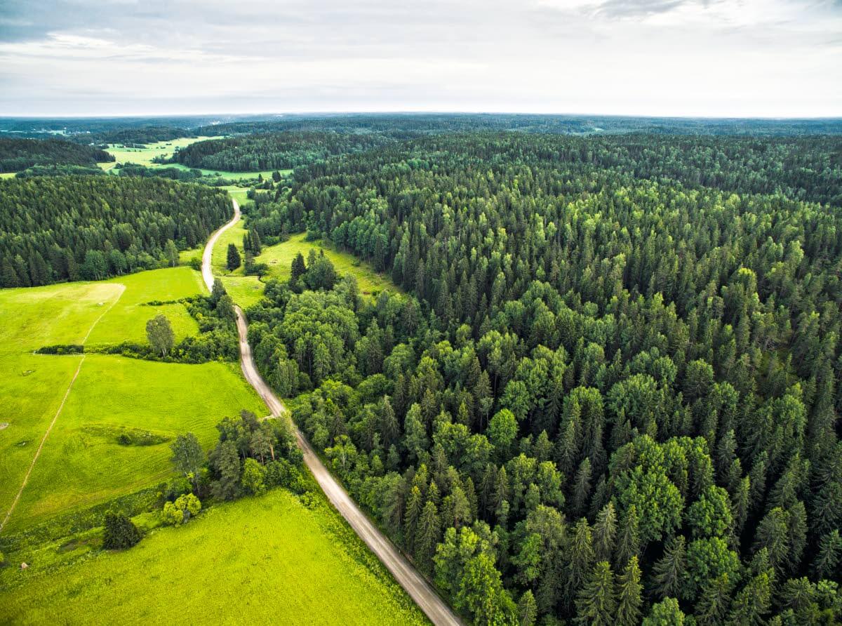 Byabäckenin peltojen ympäröimää purolaaksoa ja Sipoonkorven kansallispuiston metsiä (oikealla) Sipoossa