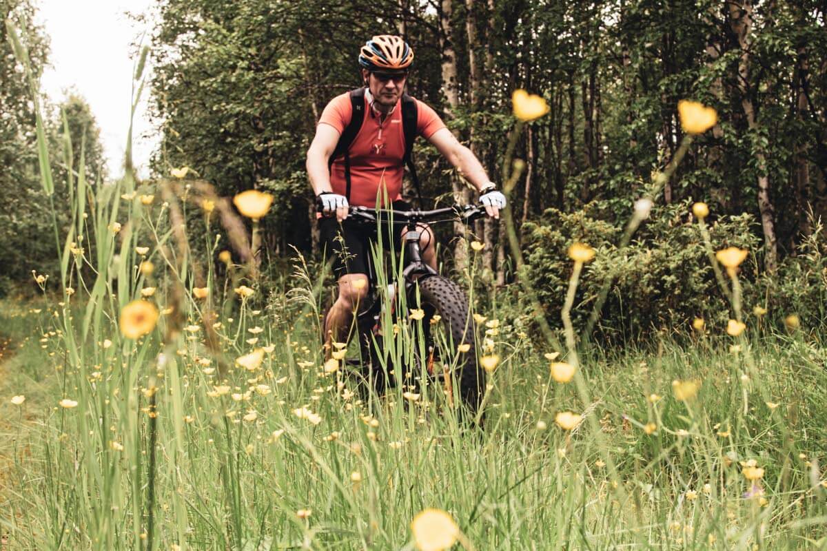 Kesä kauneimmillaan Toraslammen reitillä