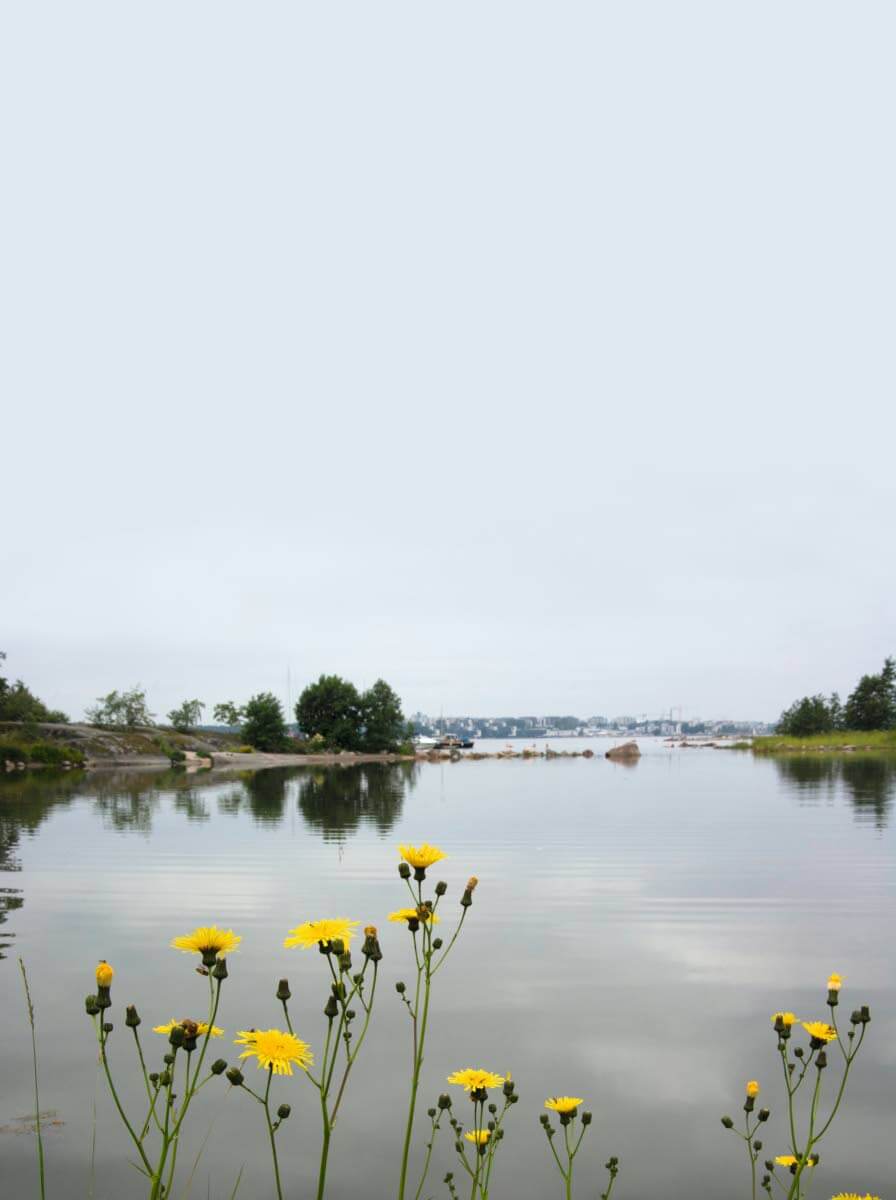 Pihlajasaaressa on ravintola, upea hiekkaranta, telttailumahdollisuus, pari vuokrasaunaa ja keittokatosta kauniin luonnon lisäksi