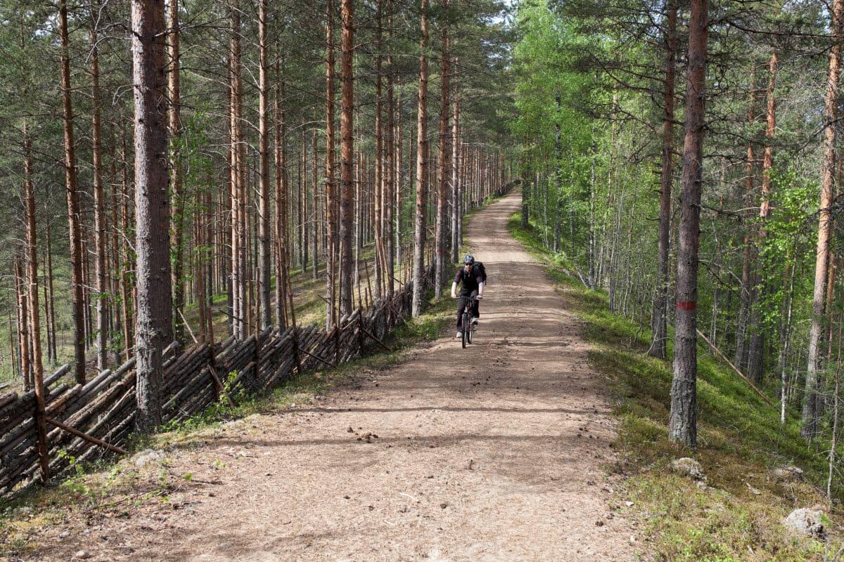 Lintharjun luontopolun varrella voit ihailla taidokasta ja perinteistä, suomalaista käsityötä: pisteaitaa. Kuva: Antti Huttunen,Nauti Lintharjun luontopolulla kirkasvetisistä metsälammista. Kuva: Antti Huttunen,Lintharju lumoaa monipuolisuudellaan. Kuva: Antti Huttunen,Lintharjun luontopolkua täplittävät ihanan rehevät lehdot, joissa kotkansiivet ja lepät kisaavat vehreydestä. Kuva: Antti Huttunen