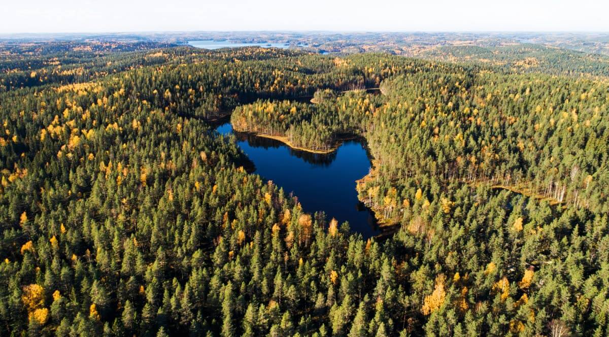 Vaherjärvi Isojärven kansallispuistossa. Taustalla kimmeltää kansallispuiston nimikkojärvi Kaatselkä. Kuva: Markus Sirkka.