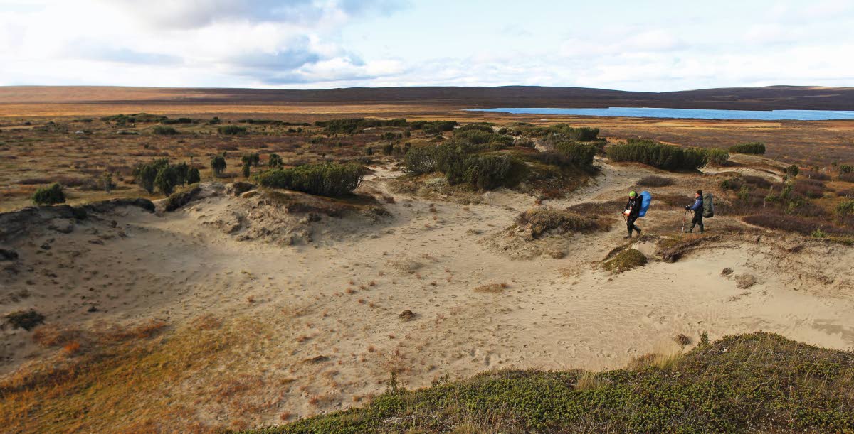 Pöyrisjärven erämaalle tyypillisiä hiekkakuolpunoita Maaterjärven lähellä. Kuva: Jouni Laaksonen.