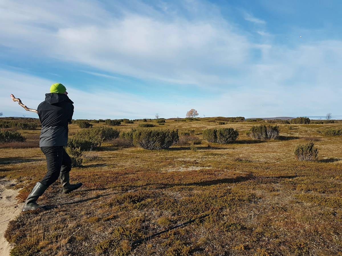 Naapanmellan golfcoursen väylä kaksi. Sininen lippalakki vaellussauvan päässä osoittaa reiän sijainnin. Kuva: Jouni Laaksonen.