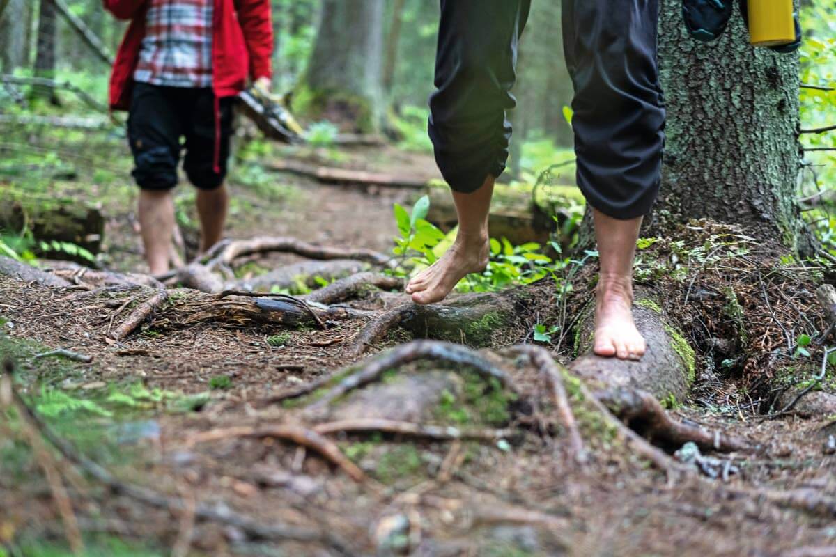 Kestävä kehitys on tärkeä osa myös Suomen Ladun kaikkea toimintaa. Kuva: Sampsa Sulonen/Suomen Latu