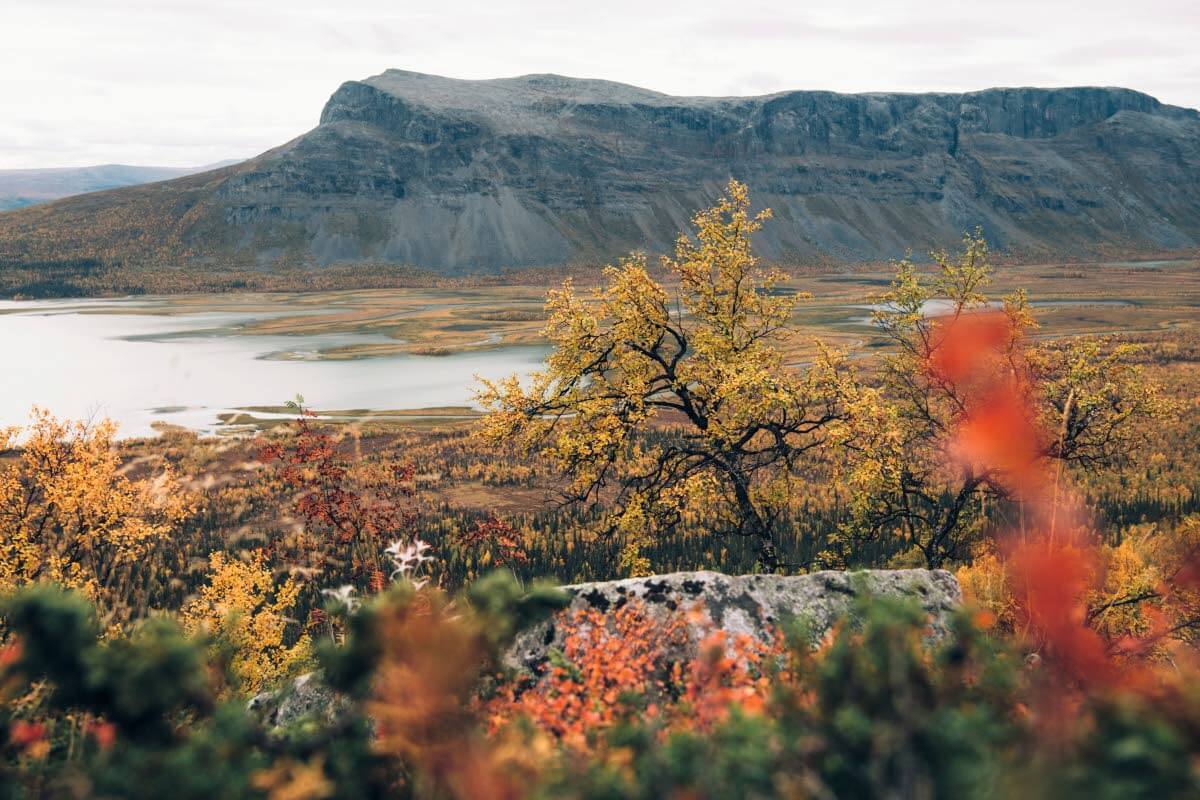 Sarek on suuren suuri erämaa. Kuva: Eeva Mäkinen.