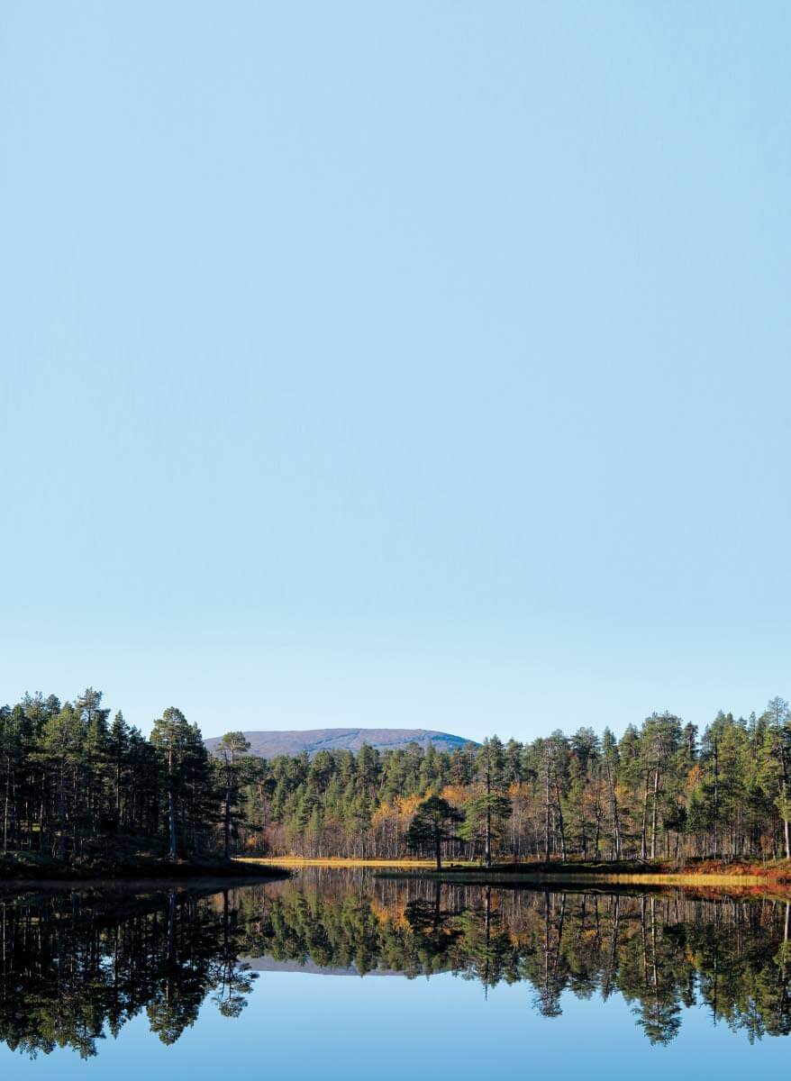 Morgamojan Kultalan autiotupa-varaustupa. Rinkat ripustetaan ulkoseinälle, jotta ne eivät vie tilaa sisältä