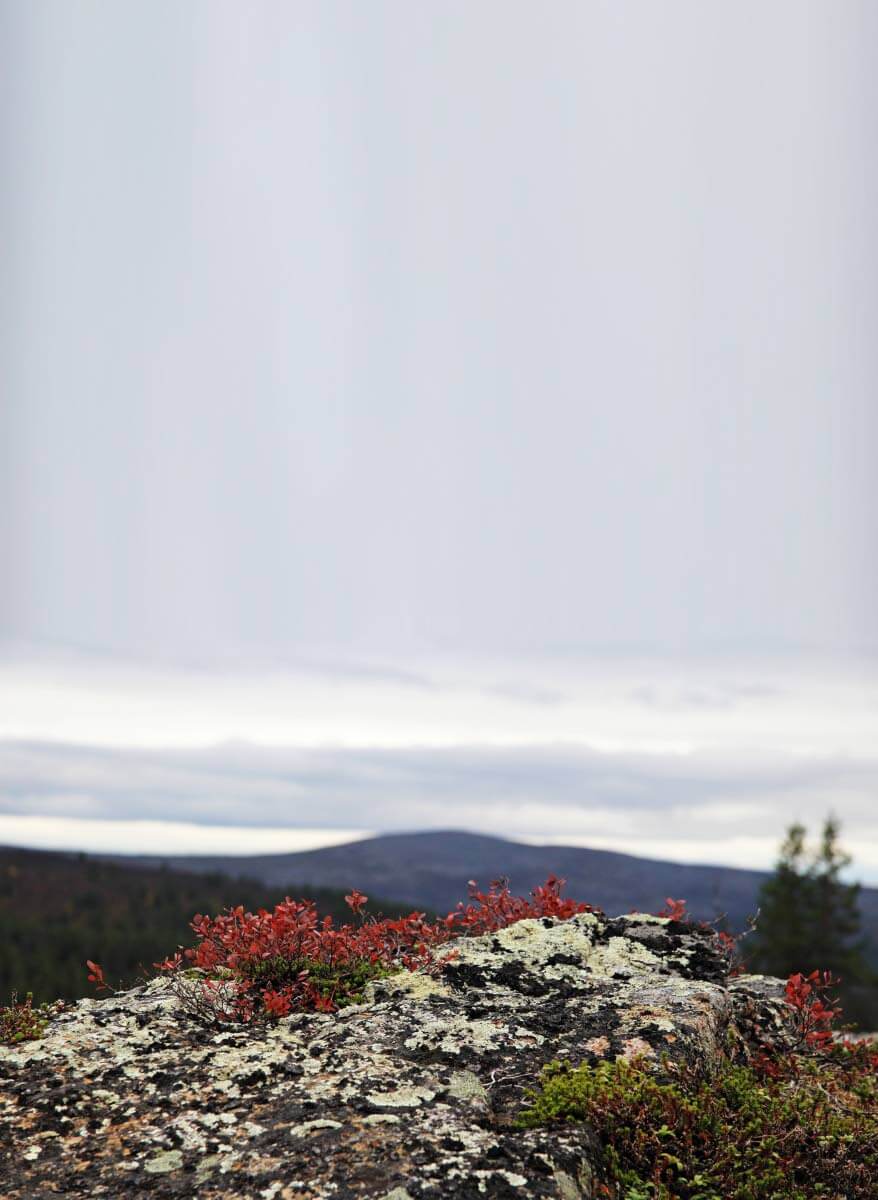 Muurahaislampi, taustalla Joenkielinen