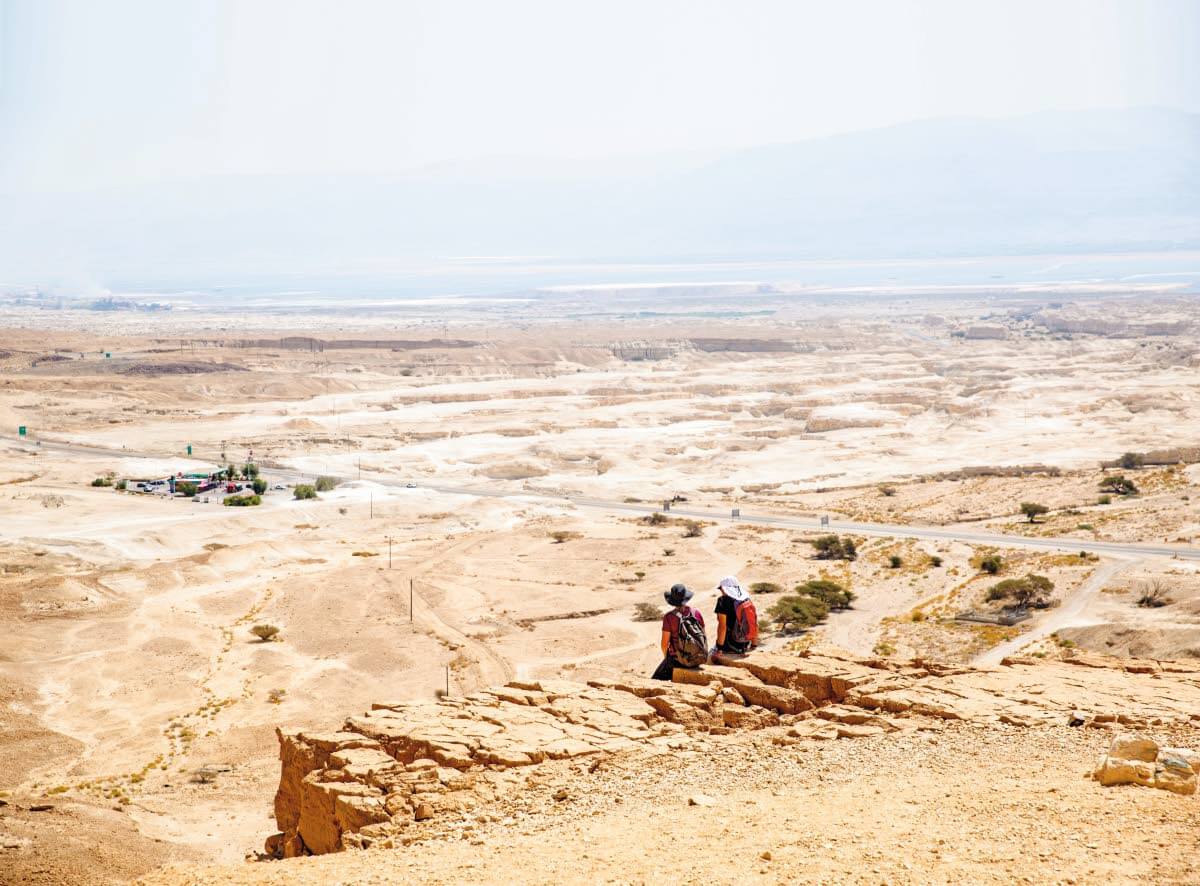Negevin autiomaan pinta-ala on noin 12 000 km². Se käsittää puolet koko Israelin alueen pinta-alasta.