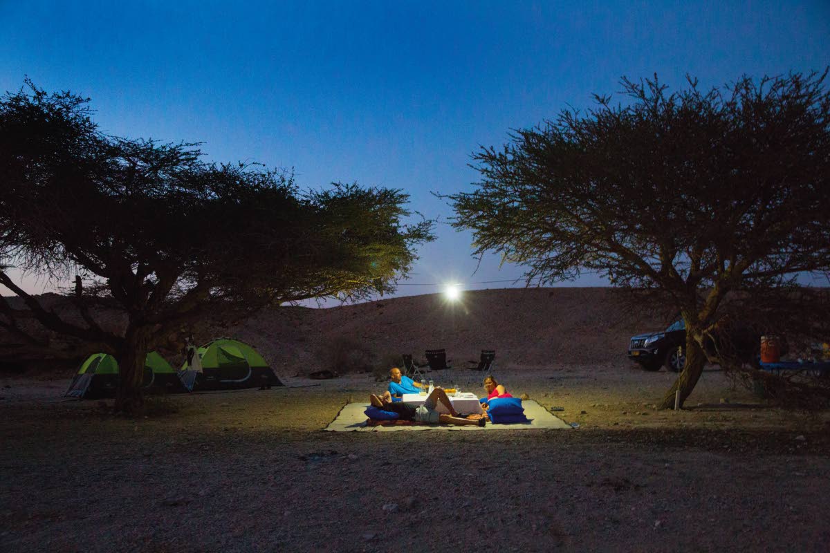 Yöllä liikkuvat monet autiomaan eläimet, kuten villikissat, sudet, ilvekset ja ketut. Ne tosin liikkuvat usein äänettömästi ja niiden näkemiseen tarvitaan onnea. Ainoastaan hyeenan naurun kuulee kauas