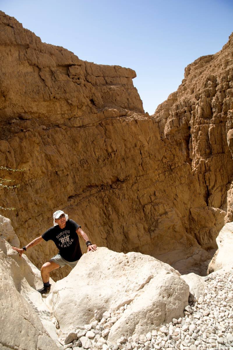 Negevin autiomaa on kuitenkin kaikkea muuta kuin pelkkää hiekkaa