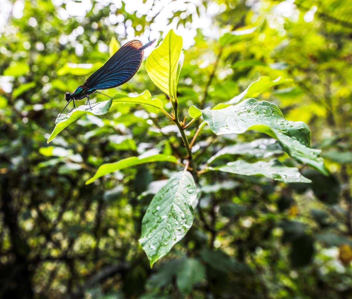 Salpapolun varrella on joitakin varaussaunoja, -kotia ja kämppiä. Vaalimaanjoen rannalla sijaitsevan Muhikon taukopaikalla on pieni majoituskämppä ja sauna. Lisäksi paikalla on keittokatos ja käymälä