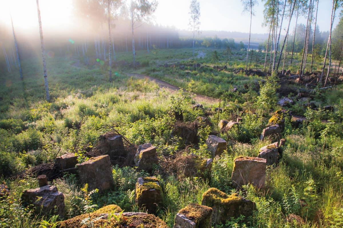 Neidonkorento Vaalimaanjoella Miehikkälässä