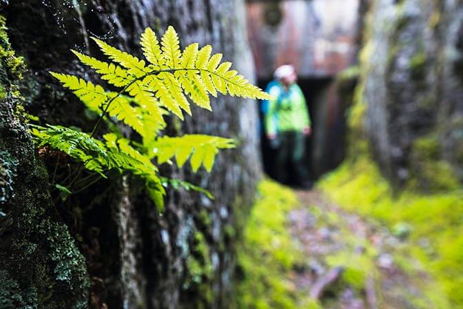 Pallo- eli imubetonikorsu Miehikkälässä