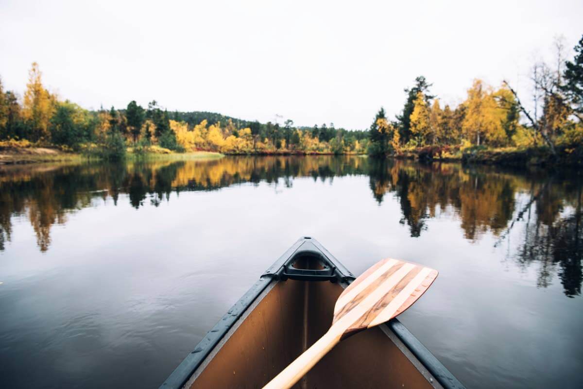 Eväät tekevät retken. Joka kerta.
