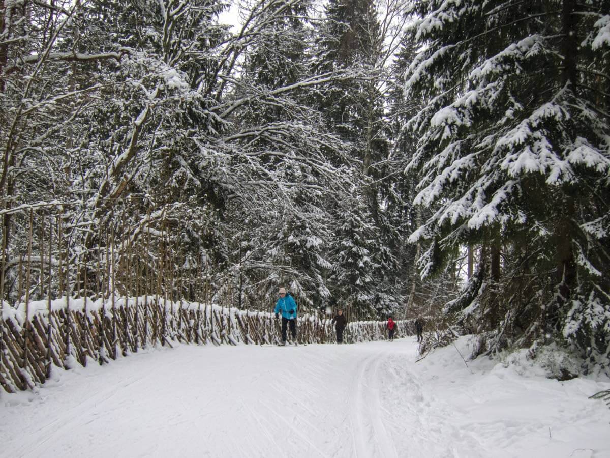 Matkalla [03] Pitkäkosken ulkoilumajalle. Idyllinen ulkoilumaja tunnetaan munkeista ja muista omassa keittiössä paistetuista leivonnaisista.