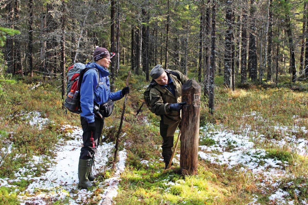 Anatoli esittelee kvartaalitolppaa. Venäjällä metsät on ruudutettu neliönmuotoisiin kvartaaleihin, joiden sivun pituus on muutaman kilometrin. Kvartaalin sivut kulkevat suunnissa itä-länsi ja pohjoinen-etelä ja niiden kulmat on merkitty maastoon numeroiduin tolpin. Kvartaaleja käytetään metsäsuunnittelussa. Kuva: Jouni Laaksonen.