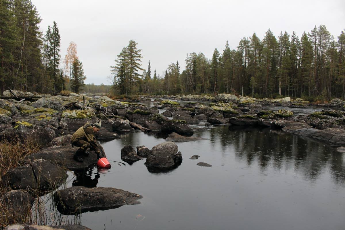 Anatoli-opas ottaa juomavettä Kivijoesta Verhnej-tuvalla. Kuva: Jouni Laaksonen.