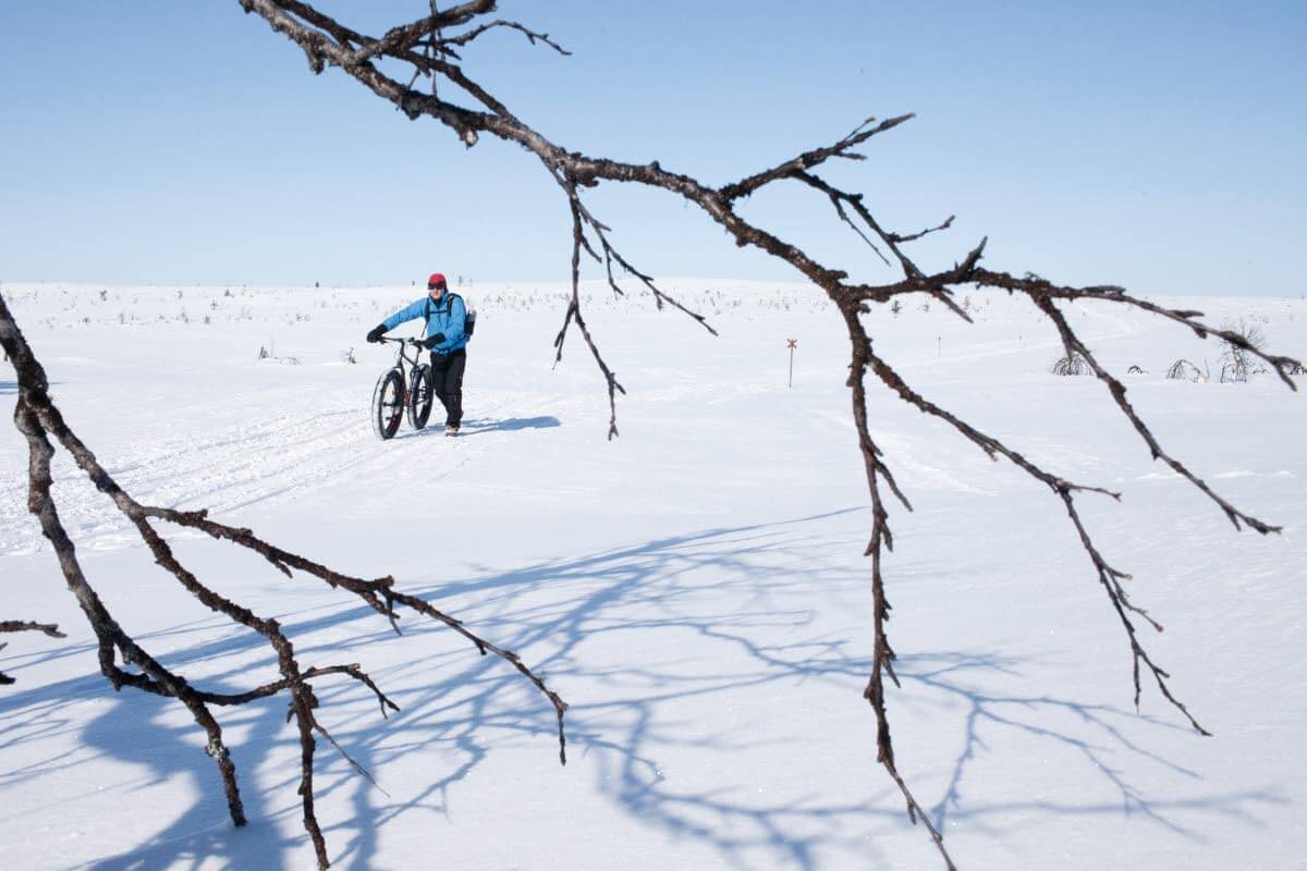 Moottorikelkkareitit. Hetta–Näkkälä-moottorikelkkareitti voi toisinaan olla telamattojen alla polkeutunut lähes kivikovaksi. Tällaista talvireittiä pitkin läskipyörällä polkeminen on helppoa ja vaivatona kuin maantiellä konsanaan. Kuva: Sauli Herva.