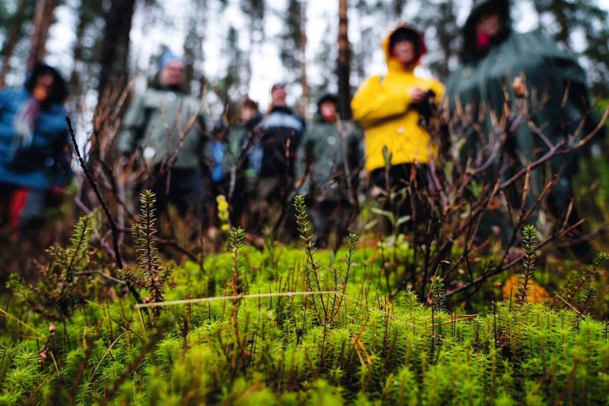 Kuva: Sampsa Sulonen.