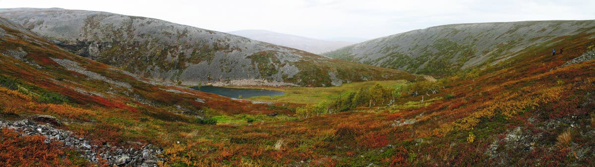 Paratiisikuru Saariselän sydämessä on huikea!,Vaeltaja tutkii karttaa Tiuhtelmakurussa. Alhaalla on Muorravaarakanjoki ja vastarinteessä näkyy Pirunportti