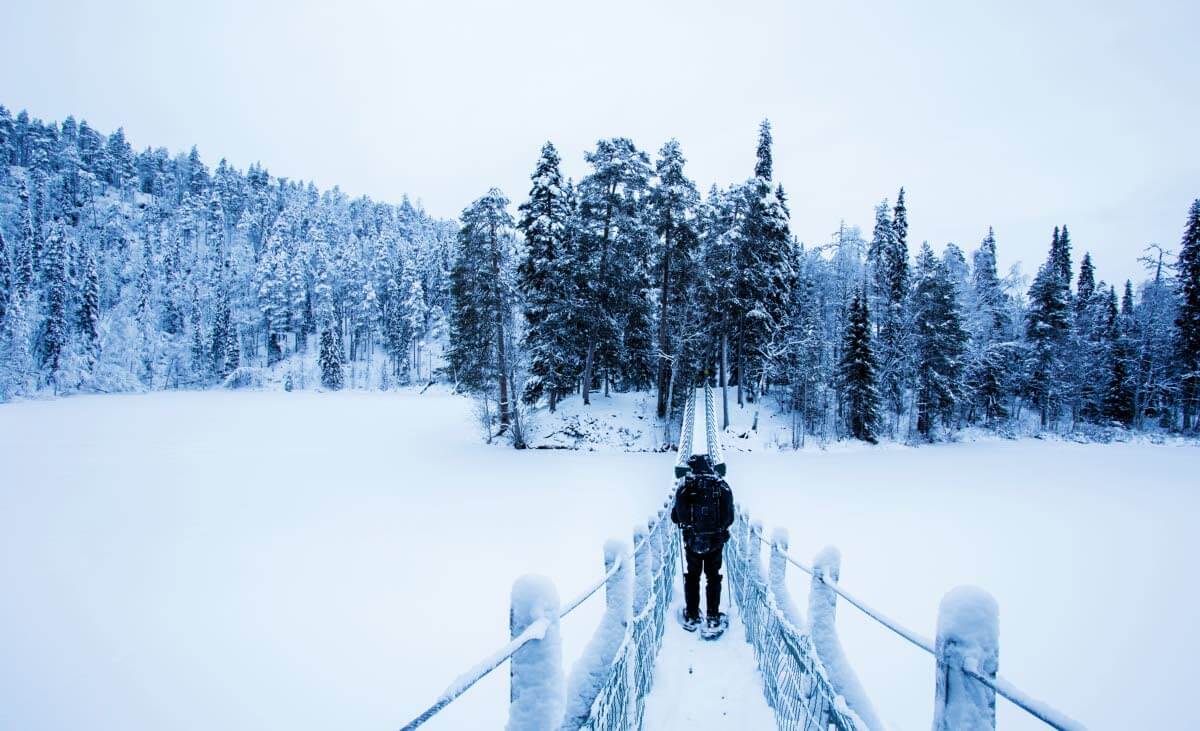 Harrisuvannon riipusilta ylittää Kitkajoen Karhunkierroksen vaellusreitillä.