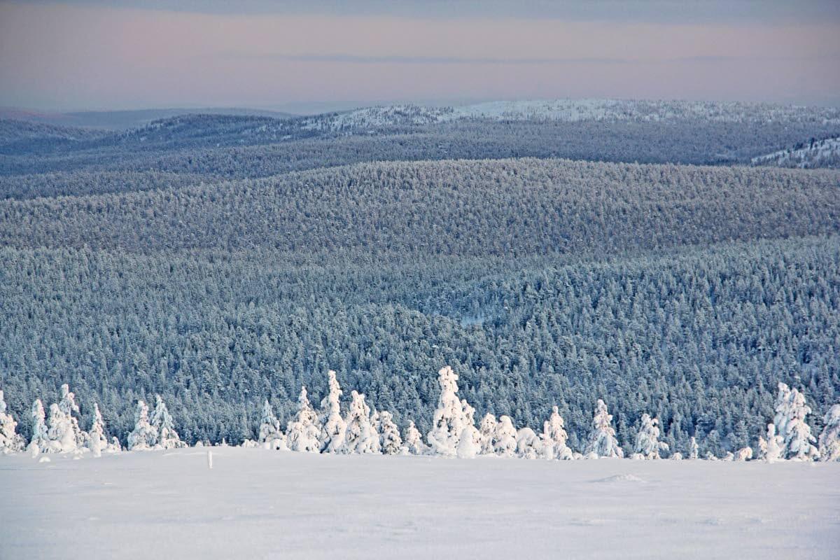 Kaamosaikaan tehty hiihto­vaellus erämaahan edellyttää välineistön kehityksestä huolimatta edelleenkin huolellista valmis­tautumista.Talvien leudon­tuminen jopa lisää sääolosuhteiden tutkimista ja ennakko­tiedustelun tarpeellisuutta.