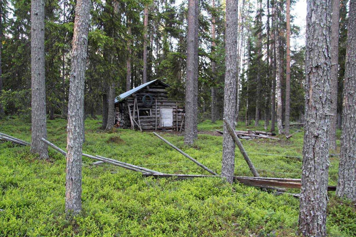 Pikku Papinsuon porokämppä Litokairassa: oli oli auki, tilaa kuudelle ja kamiinakin vaikutti käyttökelpoiselta