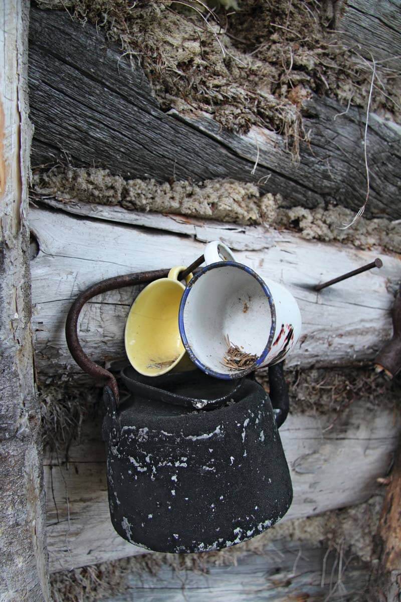 Ei ruusu autiotuvaksi, mutta horsma.