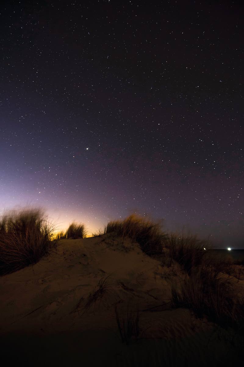 Dyynejä Doñanan kansallispuistossa.